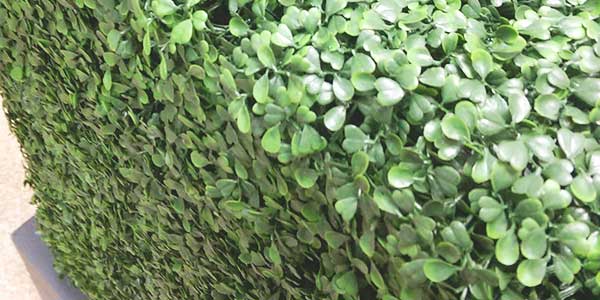 Afsluitingen - Kunsthaag