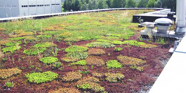 Een groendak als dakbedekking