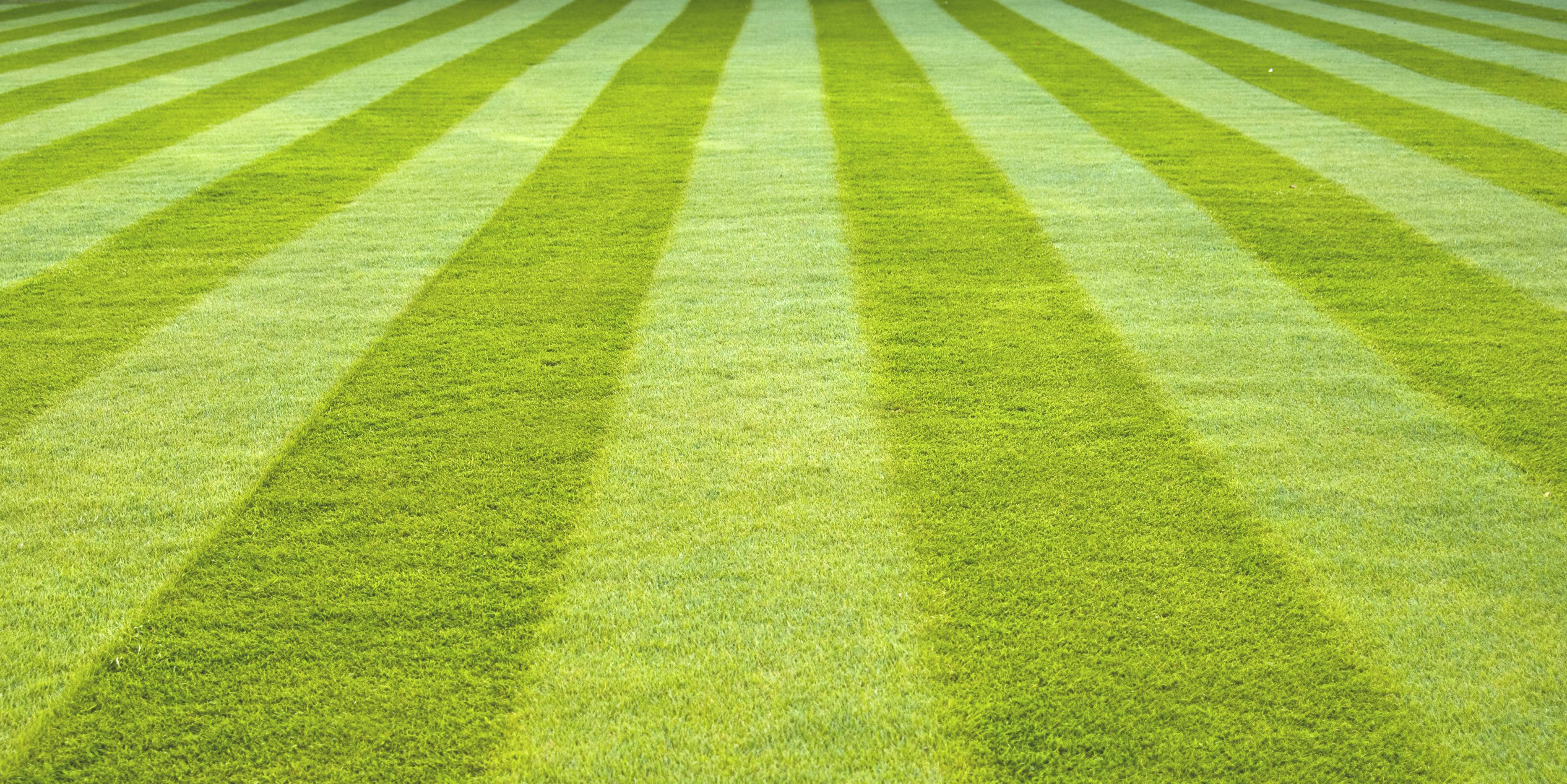 waarom kiezen voor grasmatten @city