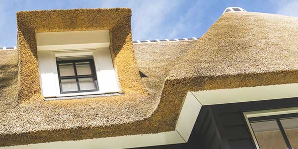 rieten dak dakbedekking