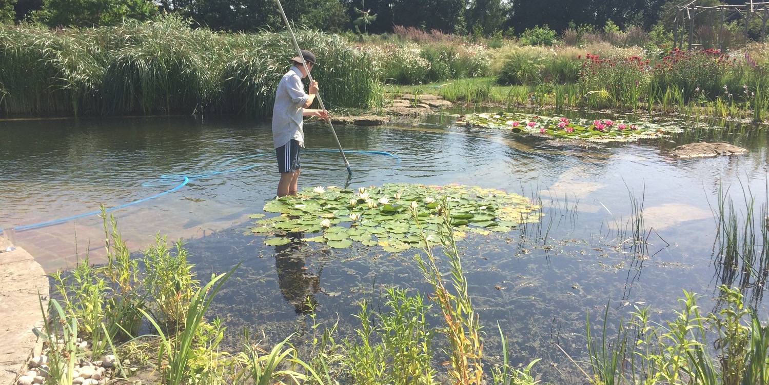 onderhoud zwemvijver