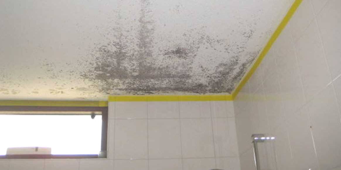 schimmel in badkamer