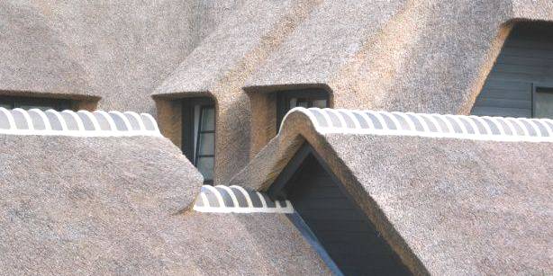 nokafwerking rieten dak