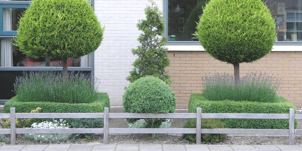 onderhoudsvriendelijke voortuin @city